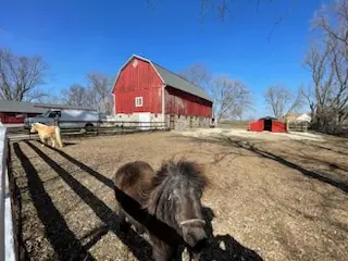 The red barn with a pony out front